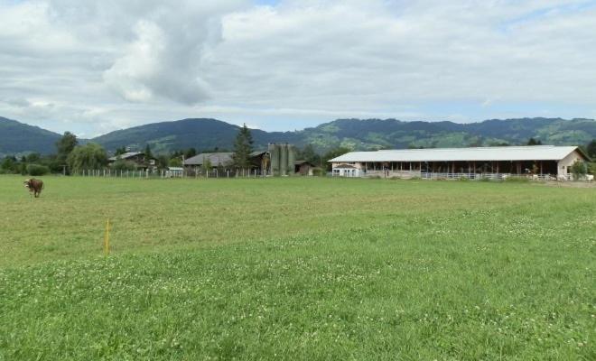斯特玛堡恩霍夫厄尔尼斯农家乐 Montlingen 外观 照片
